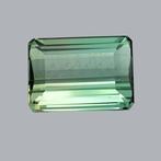1 pcs Groen Toermalijn - 4.21 ct - nternational Colored, Nieuw