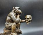 Beeld, Bronze Darwin Monkey with Skull - 14 cm - Brons,
