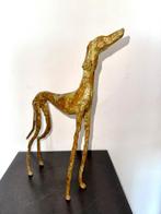 Abdoulaye Derme - sculptuur, Chien Lévrier - 33.5 cm - Brons, Antiek en Kunst