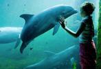 Dolfinarium Harderwijk tickets (2 p.), Tickets en Kaartjes, Recreatie | Dierentuinen