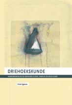 Driehoekskunde / Praktijkreeks / deel 1 9789077834596, Boeken, Verzenden, Gelezen, Chiel Egberts