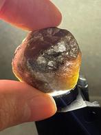 Saffier Ongewone Stuk! Zeldzame Bicolor Saffier. 195,5 Ct.