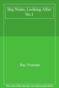 Big Norm, Looking After No.1 By Ray Yeomans, Boeken, Biografieën, Zo goed als nieuw, Verzenden