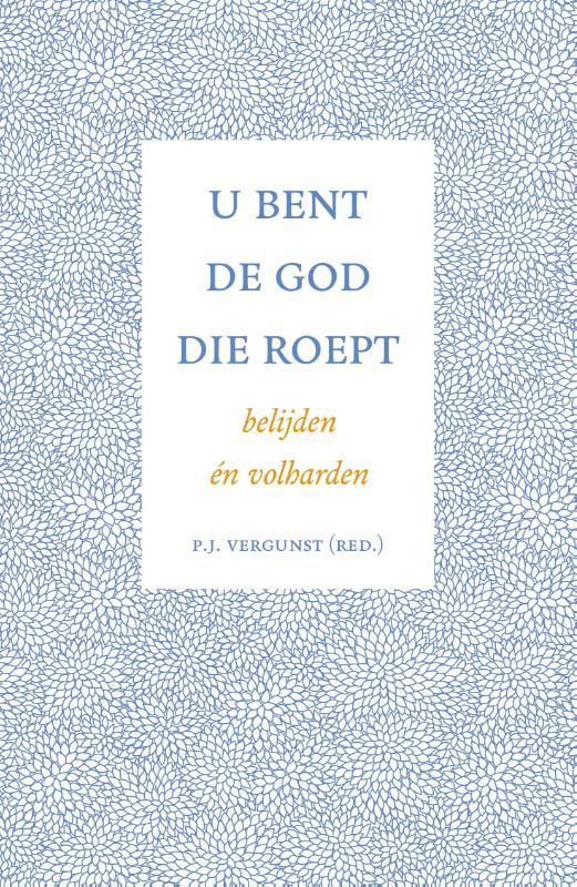 U bent de God die roept 9789088973819 P. J. Vergunst, Boeken, Godsdienst en Theologie, Zo goed als nieuw, Verzenden