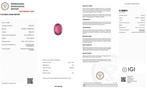 1 pcs Paars, Roze Toermalijn - 17.82 ct - International, Nieuw