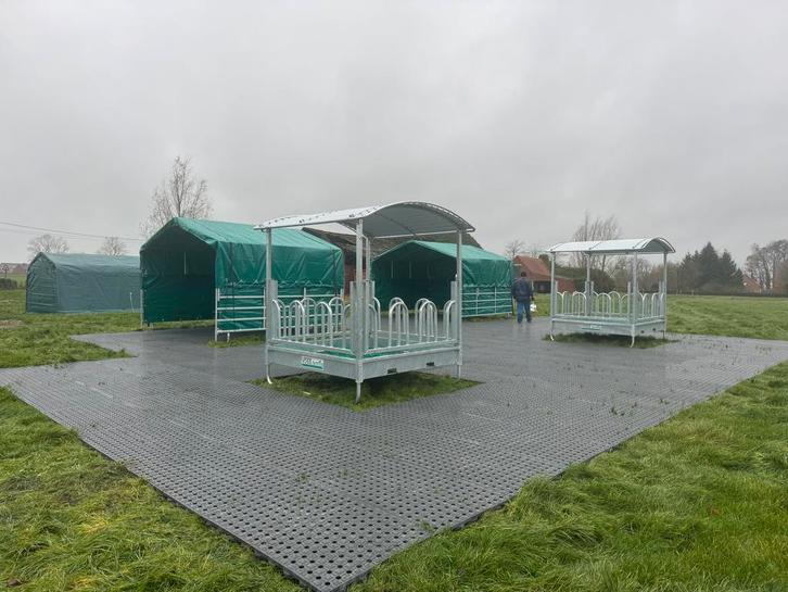 Voor iedere situatie de juiste Paddockplaat / Modderplaat, Dieren en Toebehoren, Stalling en Weidegang