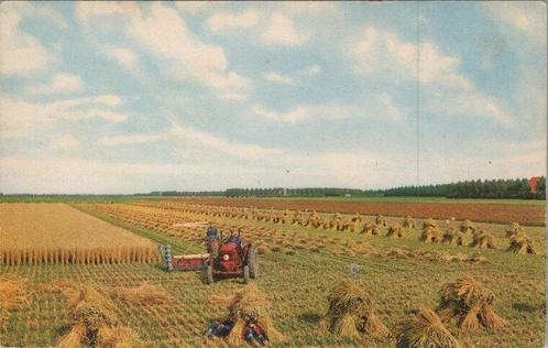 GAASTERLAND - Groeten uit Gaasterland, Verzamelen, Ansichtkaarten | Nederland, Verzenden