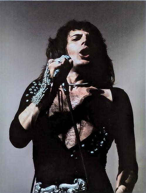 Gijsbert Hanekroot - Freddie Mercury, The Hague, 1974, Antiek en Kunst, Kunst | Schilderijen | Modern