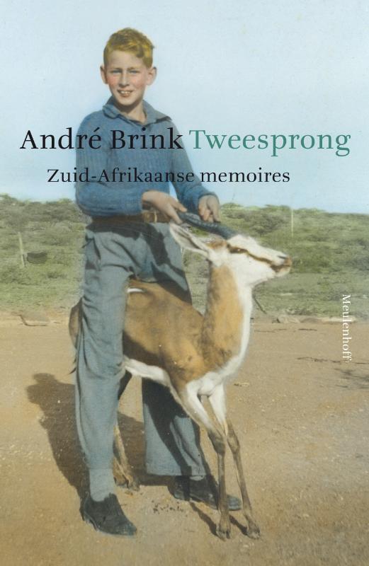 Tweesprong - Memoires 9789029083690 André Brink, Boeken, Literatuur, Gelezen, Verzenden