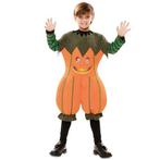 Pompoen pak kind, Verzenden, Nieuw, Feestartikel
