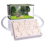 Mierenboerderij Gips Master Set, Dieren en Toebehoren, Insecten en Spinnen