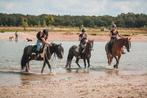 Ruiterinstructiekampen met eigen pony of paard, Nieuw