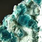 CW1637 Coloratissima fluoriet Kristallen op matrix - Hoogte:, Verzamelen, Mineralen en Fossielen