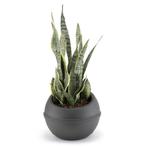 Bama Sfera Bloempot 23L 40.5x32 cm Antraciet (Overige), Huis en Inrichting, Verzenden, Nieuw