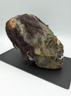 Paracas slaapende schoonheid: replica van een mummie met, Antiek en Kunst