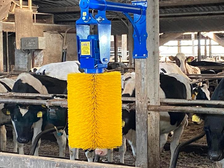 Volautomatische Koeborstel Thuis Geleverd, Dieren en Toebehoren, Overige Dieren-accessoires, Nieuw, Ophalen of Verzenden