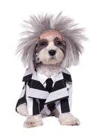 Beetlejuice Honden Kostuum, Kinderen en Baby's, Carnavalskleding en Verkleedspullen, Nieuw, Verzenden