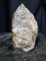 Sculptuur van septaria - Gefossiliseerde plant - 125 mm -