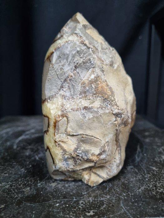 Sculptuur van septaria - Gefossiliseerde plant - 125 mm -, Antiek en Kunst, Curiosa en Brocante