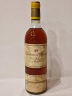 1975 Château dYquem - Sauternes 1er Cru Supérieur - 1 Fles, Verzamelen, Wijnen, Nieuw