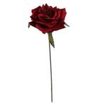 CURVE ROSE CAD Rood Per stuk Flowerwall bruidsboeket, Ophalen of Verzenden, Nieuw