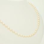 Zonder minimumprijs - Halsketting - 14 karaat Geel goud -, Sieraden, Tassen en Uiterlijk, Kettingen, Nieuw
