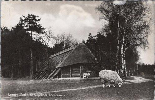 LOENEN - Schaapskooi Loenermark, Verzamelen, Ansichtkaarten | Nederland, Verzenden