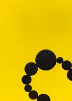 Diamonds Are Not For Everyone. Kees De Goede | 9789493329133, Ophalen of Verzenden, Nieuw, De Goede, Kees / Wieringa, Tommy / Den Hartog Jager, Hans / Janssen, Nanda