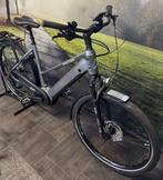 Falter E 6.0 500 – Nieuwe electrische fiets met Bosch Motor, Overige merken, Nieuw, Ophalen of Verzenden, 51 tot 55 cm