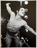 Govert de Roos - Iggy Pop