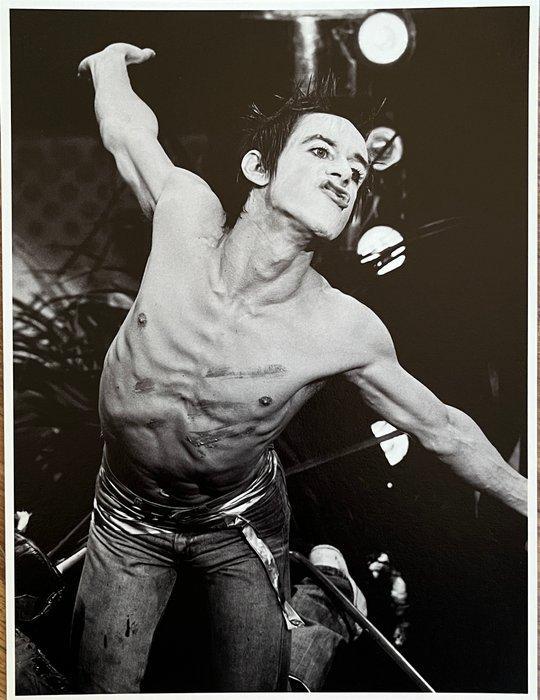 Govert de Roos - Iggy Pop, Antiek en Kunst, Kunst | Designobjecten