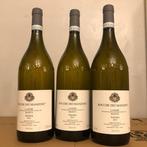 2023 Rocche dei Manzoni, Tataya - Langhe DOC - 3 Magnums, Nieuw