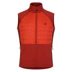 -72% Dare2b  Dare2b Heren aflopend gilet  maat XL, Kleding | Heren, Bodywarmers, Verzenden, Nieuw, Oranje