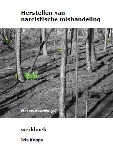 herstellen van narcistische mishandeling 9789082392500, Boeken, Psychologie, Zo goed als nieuw, Verzenden