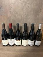 2016 Pommard 1° Cru, 2018 Vosne Romanée, Rully 1° Cru, 2021, Nieuw