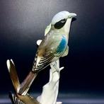 Karl Ens, Volkstedt - Pair of Loggerhead Shrike (26 cm) - ca