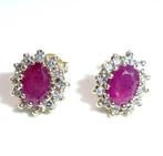 Oorbellen - 14 karaat Geel goud - 1.26ct. tw. Diamant, Nieuw