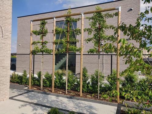 Leilinde Constructie Pakket Verzinkt, Doe-het-zelf en Verbouw, IJzerwaren en Bevestigingsmiddelen, Verzenden