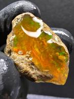 58.30ct Natural Crystal Opal Specimen Ruw- 11.66 g