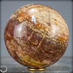 Natuurlijke sfeer van versteend hout- 3135.37 g, Verzamelen, Mineralen en Fossielen