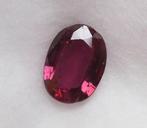 Rood Robijn - 1.34 ct - Lotus Gemology, Nieuw