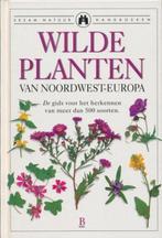 Wilde planten van Noordwest-Europa 9789024601912, Boeken, Gelezen, Verzenden, Christopher Grey-Wilson, Francisca Gonzalez-Arias