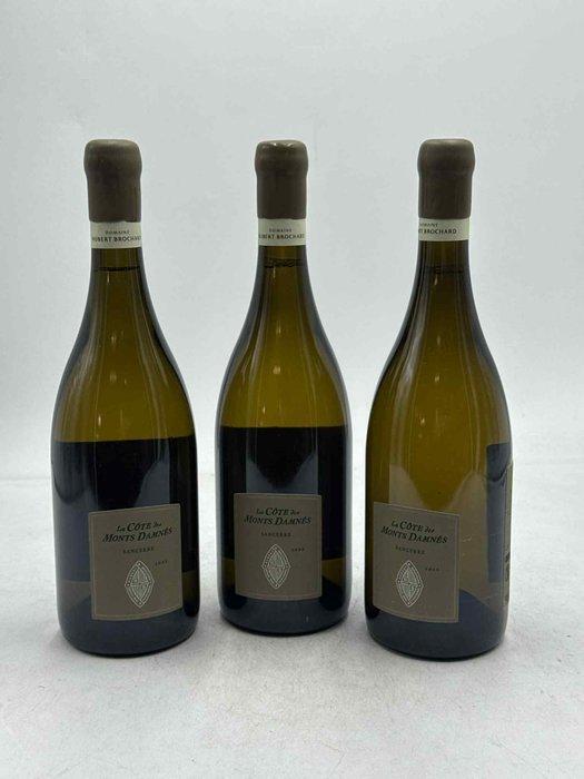 2022 Hubert Brochard La Côte des Monts damnés - Sancerre -, Verzamelen, Wijnen