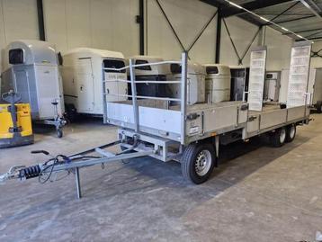 Doornwaard Met lange oprijplaten en hals beschikbaar voor biedingen