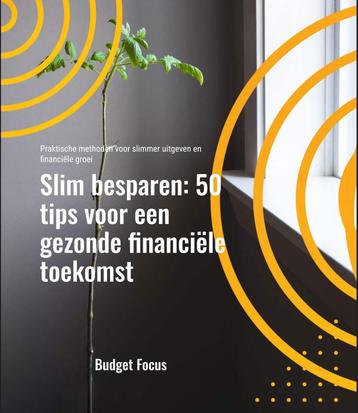 Slim besparen: 50 tips voor een gezonde financiële toekomst beschikbaar voor biedingen