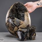 Natuurlijke draak-septarien-ei uit Madagaskar – 13,3 kg