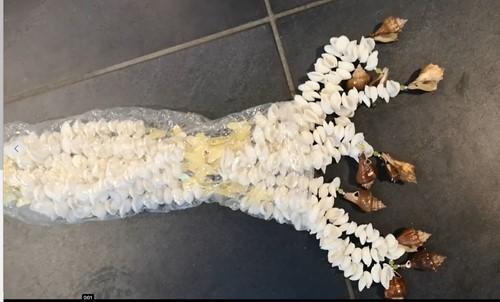 Schelpengordijn schelpenhanger kupu-kupu butterfly chippy, Huis en Inrichting, Woonaccessoires | Kunstplanten en Kunstbloemen