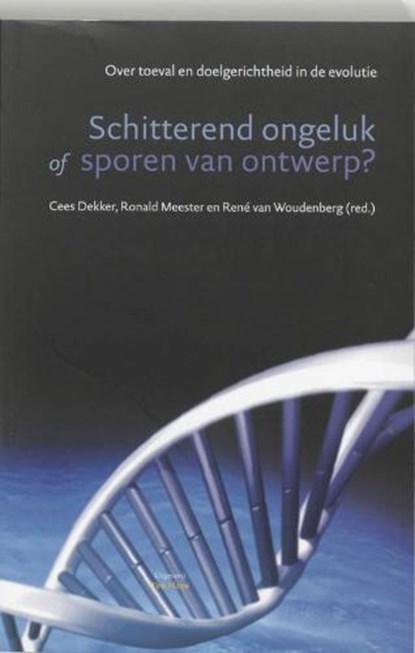 Schitterend ongeluk of sporen van ontwerp | 9789025954833 |, Boeken, Wetenschap, Zo goed als nieuw
