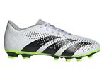 adidas - Predator Accuracy.4 FxG - 43 1/3, Sport en Fitness, Voetbal, Nieuw