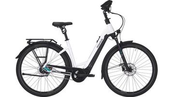 Pegasus Premio Evo 5 lite Comfort 55cm beschikbaar voor biedingen
